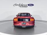 Thumbnail of 2019 Ruby Red Metallic Tinted Clearcoat Ford Mustang