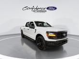 Thumbnail of 2025 Oxford White Ford F-150