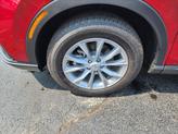 Thumbnail of 2025 Radiant Red Metallic Honda CR-V