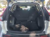 Thumbnail of 2025 Platinum White Pearl Honda CR-V
