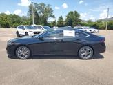 Thumbnail of 2025 Crystal Black Pearl Honda Accord Hybrid