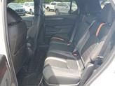 Thumbnail of 2026 Platinum White Pearl Honda Passport