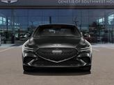 Thumbnail of 2025 Vik Black Genesis G70