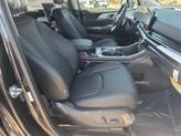 Thumbnail of 2025 Panthera Metal Kia Carnival Hybrid