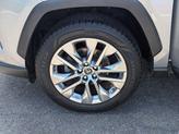 Thumbnail of 2019 Lunar Rock Toyota RAV4