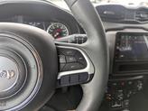 Thumbnail of 2019 Glacier Metallic Clearcoat Jeep Renegade