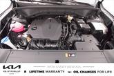 Thumbnail of 2025 Ebony Black Kia Sorento
