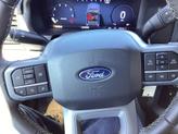 Thumbnail of 2025 Red Metallic Ford F-150