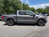 Thumbnail of 2022 Carbonized Gray Metallic Ford F-150