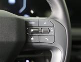 Thumbnail of 2026 Panthera Metal Kia EV9