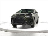 Thumbnail of 2025 Nori Green Pearl Lexus NX 350