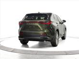 Thumbnail of 2025 Nori Green Pearl Lexus NX 350