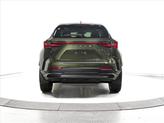 Thumbnail of 2025 Nori Green Pearl Lexus NX 350
