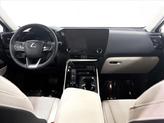 Thumbnail of 2025 Nori Green Pearl Lexus NX 350