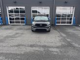 Thumbnail of 2019 Magnetic Metallic Ford Edge