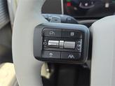 Thumbnail of 2025 White Hyundai SANTA FE HEV