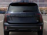 Thumbnail of 2025 Panthera Metal Kia Telluride