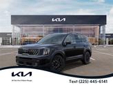 Photo of 2025 Panthera Metal Kia Telluride
