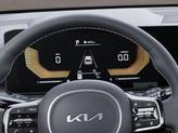 Thumbnail of 2025 Panthera Metal Kia Sorento