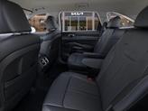 Thumbnail of 2025 Panthera Metal Kia Sorento