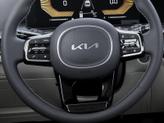 Thumbnail of 2025 Panthera Metal Kia Sorento