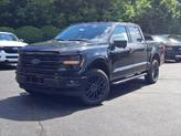 Photo of 2025 Agate Black Metallic Ford F-150