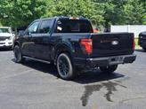 Thumbnail of 2025 Agate Black Metallic Ford F-150