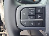 Thumbnail of 2025 Agate Black Metallic Ford F-150