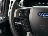 Thumbnail of 2019 Magnetic Ford F-150