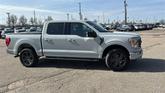 Thumbnail of 2023 Avalanche Gray Ford F-150