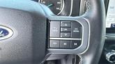 Thumbnail of 2023 Avalanche Gray Ford F-150