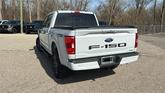 Thumbnail of 2023 Avalanche Gray Ford F-150