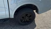 Thumbnail of 2022 Cactus Green / Gray Ford Ranger