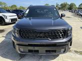 Thumbnail of 2025 Metal Kia Telluride