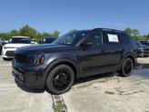 Thumbnail of 2025 Metal Kia Telluride