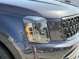 Thumbnail of 2025 Metal Kia Telluride