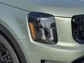 Thumbnail of 2025 Jungle Green Kia Telluride