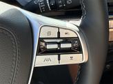 Thumbnail of 2025 Jungle Green Kia Telluride