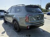 Thumbnail of 2025 Jungle Green Kia Telluride