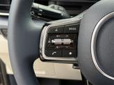 Thumbnail of 2026 Metal Kia Carnival