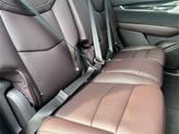 Thumbnail of 2023 Wilder Metallic Cadillac XT6
