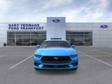 Thumbnail of 2025 Blue Ford Mustang