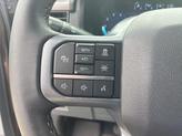 Thumbnail of 2024 Bronze Metallic Ford F-150