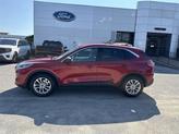 Thumbnail of 2022 RAPID RED MET TINTED CC Ford Escape