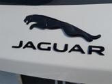Thumbnail of 2026 Ostuni Pearl White Jaguar F-PACE