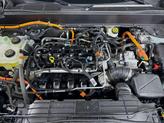 Thumbnail of 2022 Cactus Green / Gray Ford Maverick
