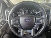 Thumbnail of 2015 Caribou Metallic Ford F-150