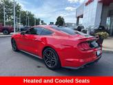 Thumbnail of 2021 Race Red Ford Mustang