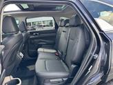 Thumbnail of 2025 Panthera Metal Kia Sorento