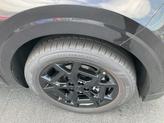 Thumbnail of 2026 Panthera Metal Kia Carnival Hybrid